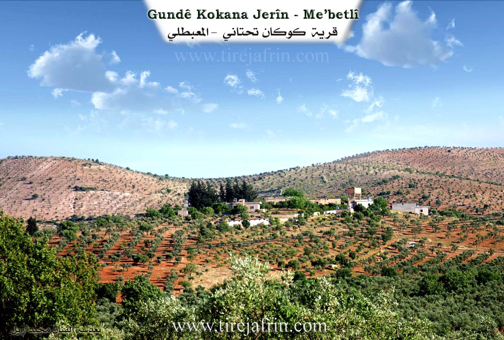 Photo of Kokanê Jêrin